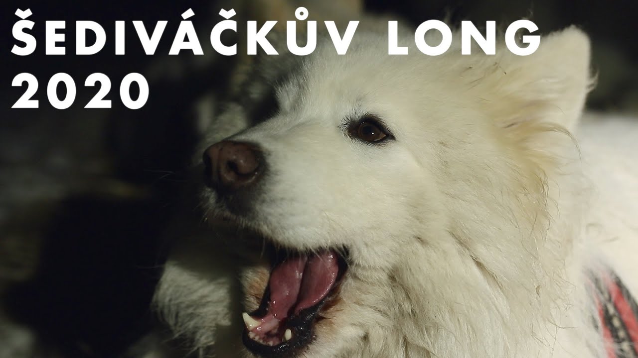 Šediváčkův long a noční bivak