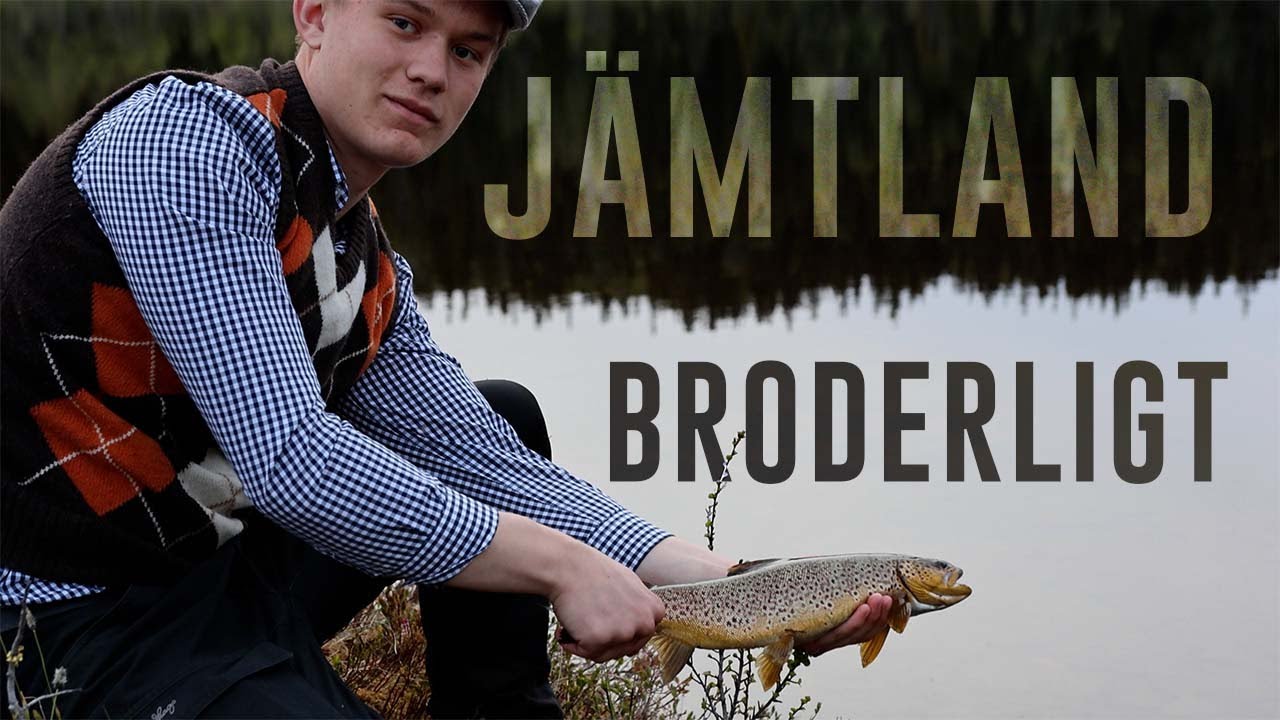 Röding & Öring i Fjällen [4K]