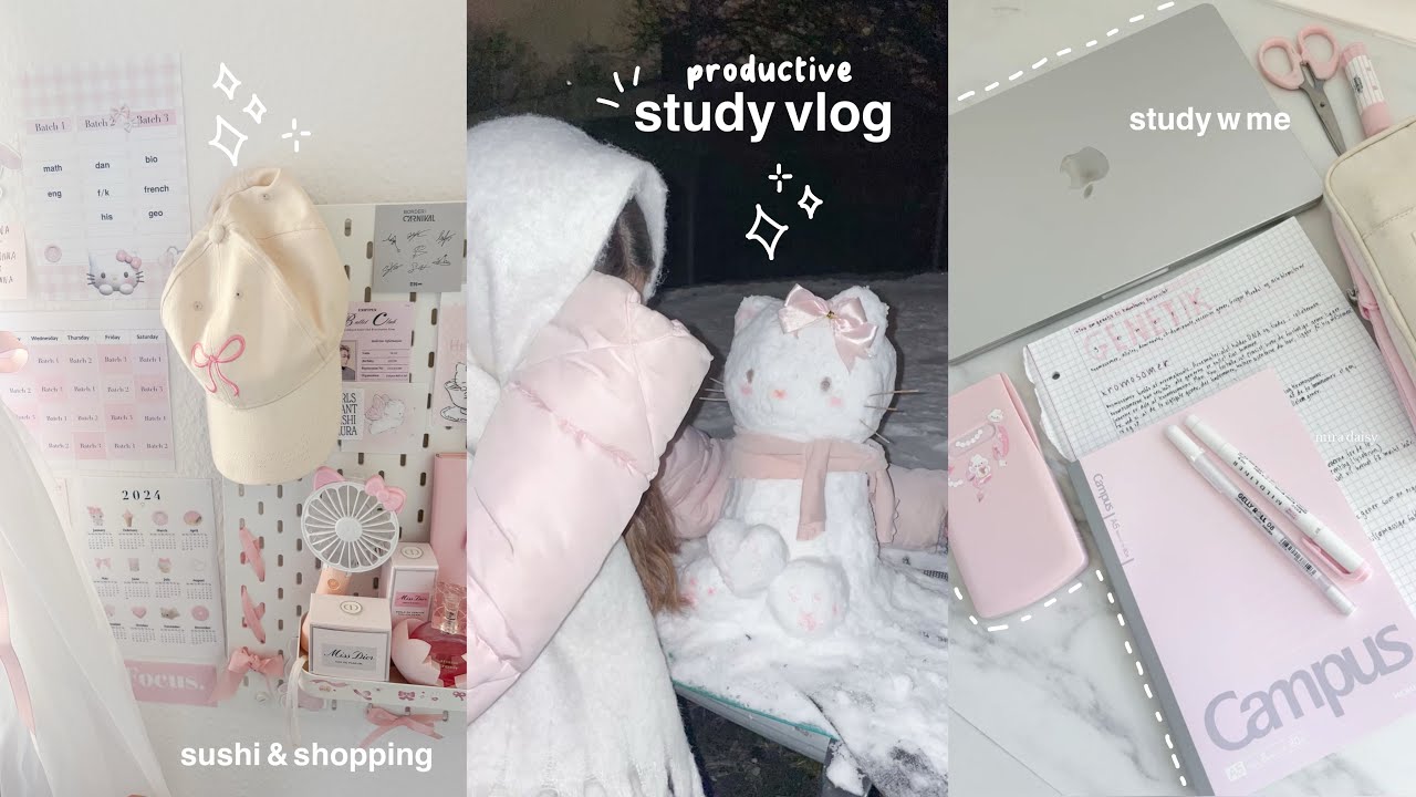 productive study vlog: shopping at muji + sushi, pr unboxing, hello kitty snowman, what's in my bag