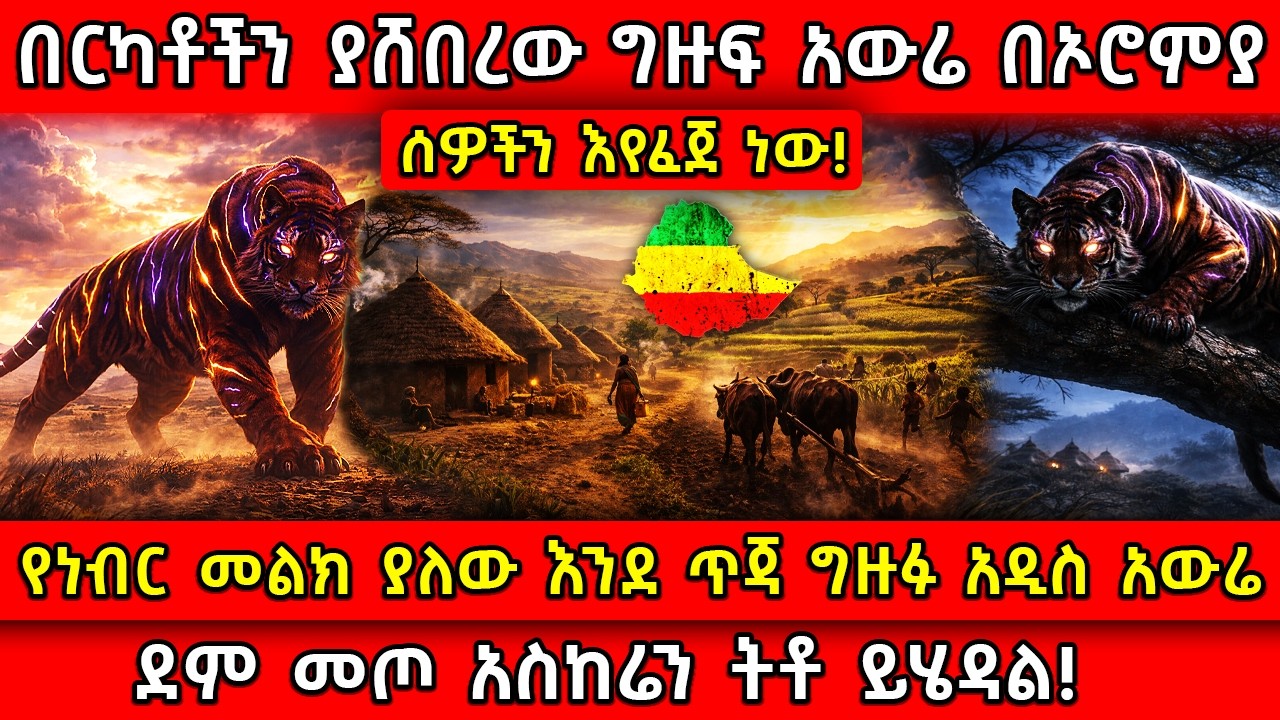 💥በርካቶችን ያሸበረው ግዙፍ አውሬ በኦሮምያ ሰዎችን እየፈጀ ነው!🛑የነብር መልክ ያለው አውሬ👉ደም መጦ አስከሬን ትቶ ይሄዳል! Ethiopia ​@AxumTube​