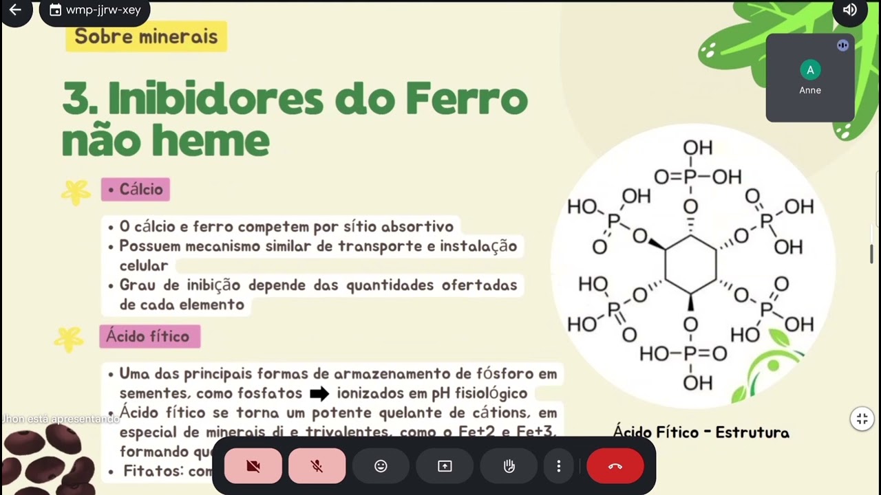 🍊Vitaminas e Minerais: Estabilidade, Absorção e Biodisponibilidade |Seminário Final - Nutrição UFMG