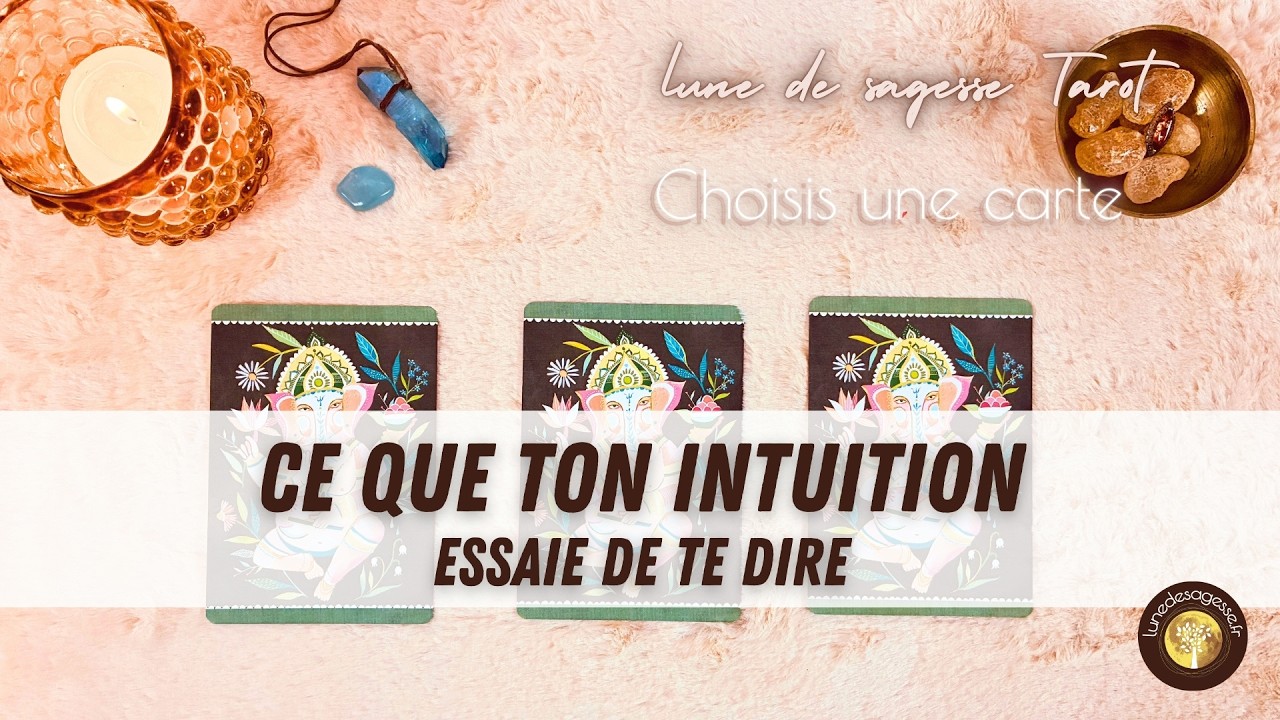 🌟 CE QUE TON INTUITION ESSAIE DE TE DIRE 🌙🔮 Guidance à 3 choix