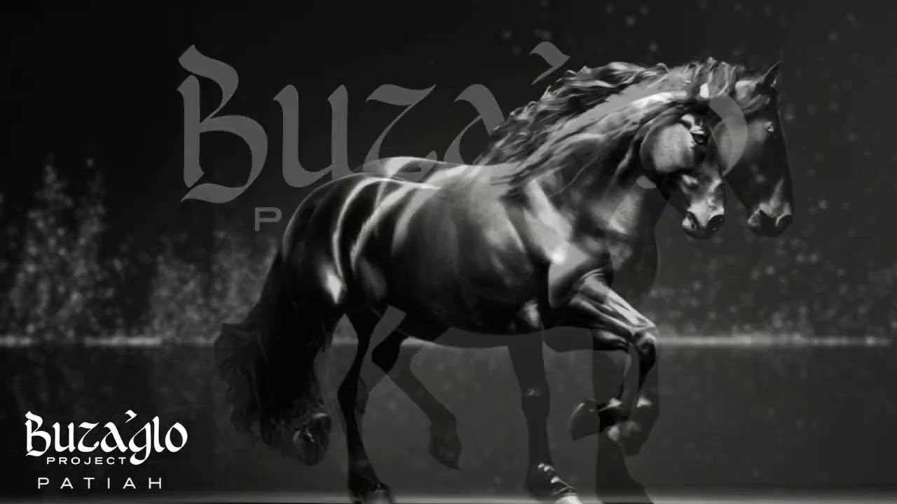 Buzaglo Project - PATIAH visualizer