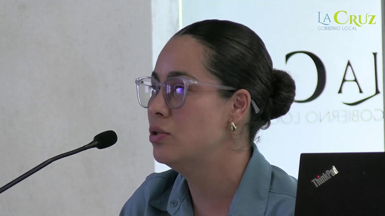 Sesión Extraordinaria N° 137-2026