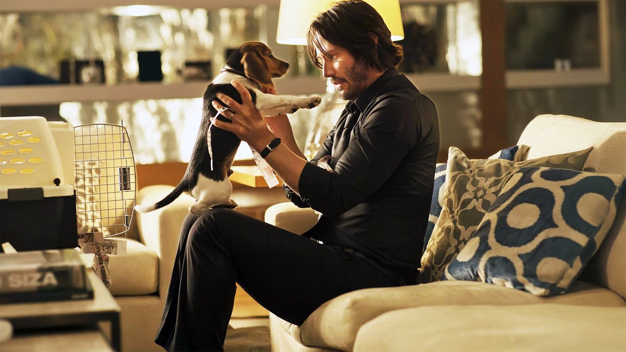 ジョンより強い？今回のMVPは間違いなくこの犬。最強すぎる追跡犬を徹底解説！『ジョン・ウィック：コンセクエンス』