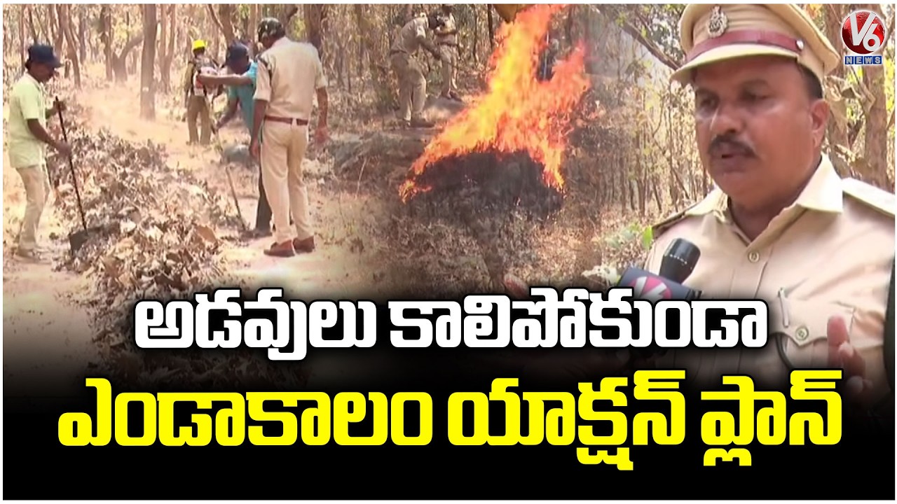 Forest Department Establishes Fire Lines to Prevent Forest Fires | Adilabad | V6 News