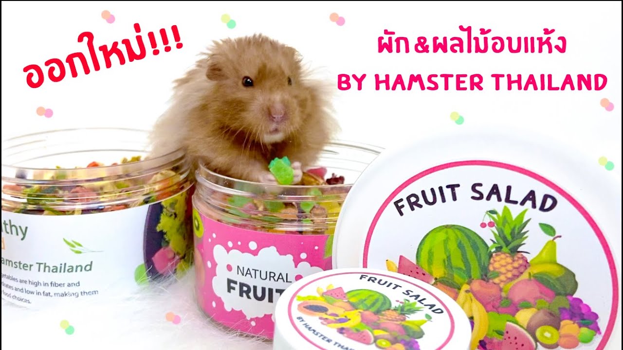 รีวิวอาหารและผักผลไม้อบแห้งสำหรับแฮมสเตอร์ By Hamster Thailand