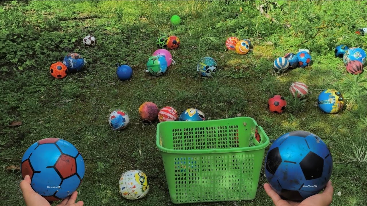 Seruu !! Bermain Lempar Lempar Bola !!! 