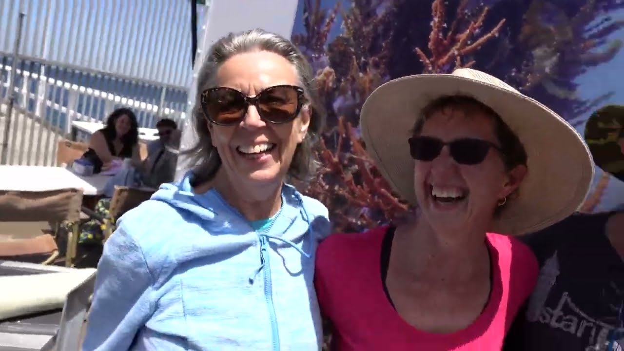 SeaTrek Undersea Walk Testimonials | Dive Busselton Jetty