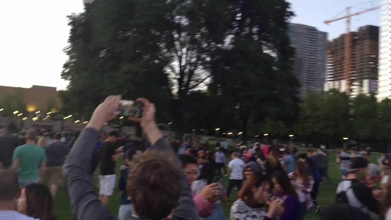 Pokémon Go Madness at Bellevue Downtown Park