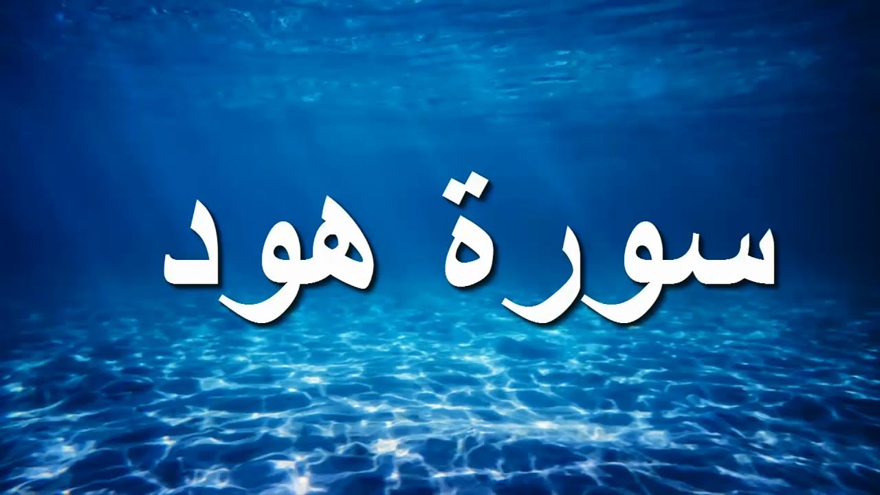 سورة هود كاملة الشيخ أحمد خليل شاهين برواية قالون عن نافع بسكون ميم الجمع HD