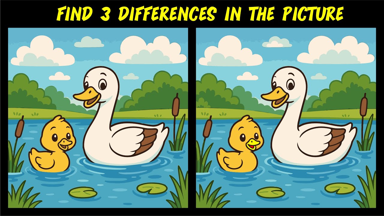 CAN YOU FIND 3 DIFFERENCES IN THESE PICTURES? - part 2