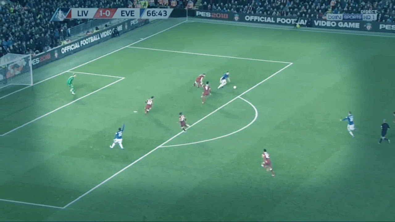 Gylfi Sigurdsson Goals for Everton 2017/18