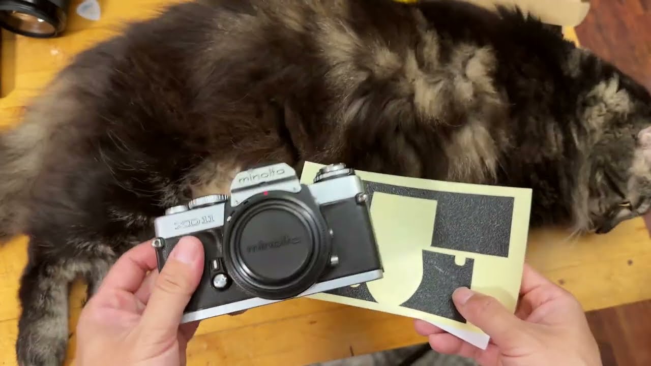 Как заменить кожаный чехол на пленочных камерах Minolta XD 11/5/7/S (и других!)
