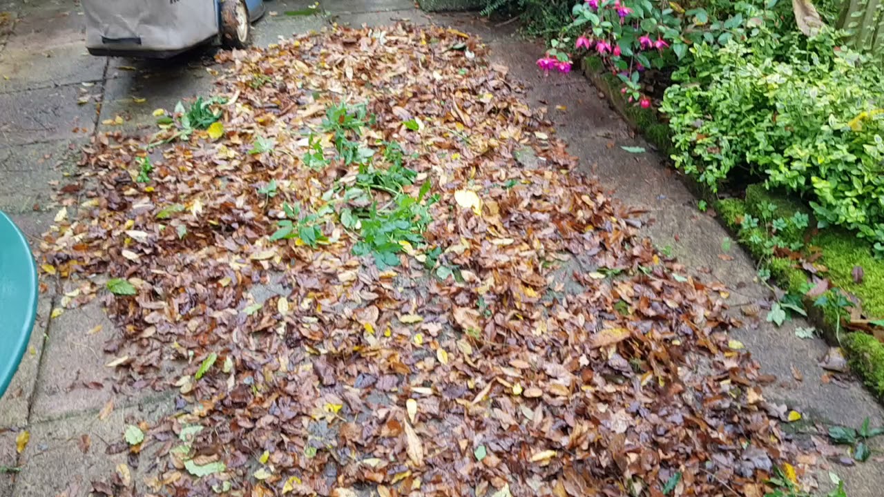 Turn your mower into a Leaf vac.