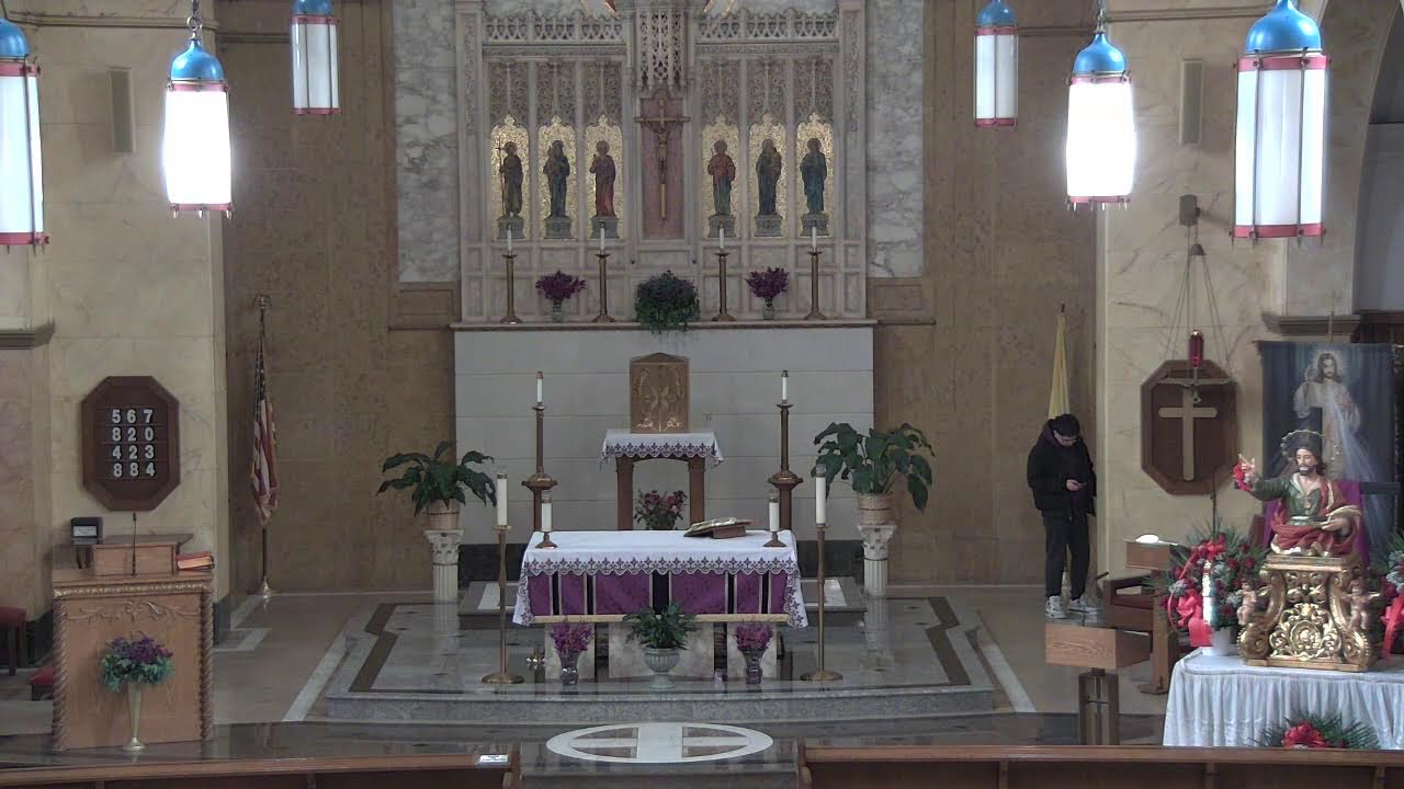 St Francis Sunday English Mass - 12pm