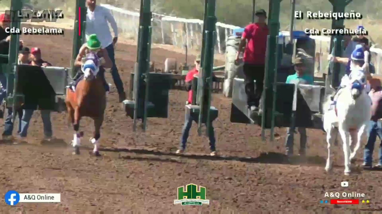 La Zorrita Cda Bebelama vs El Rebeiqueño Cda Correhuela 25/01/26 en HH