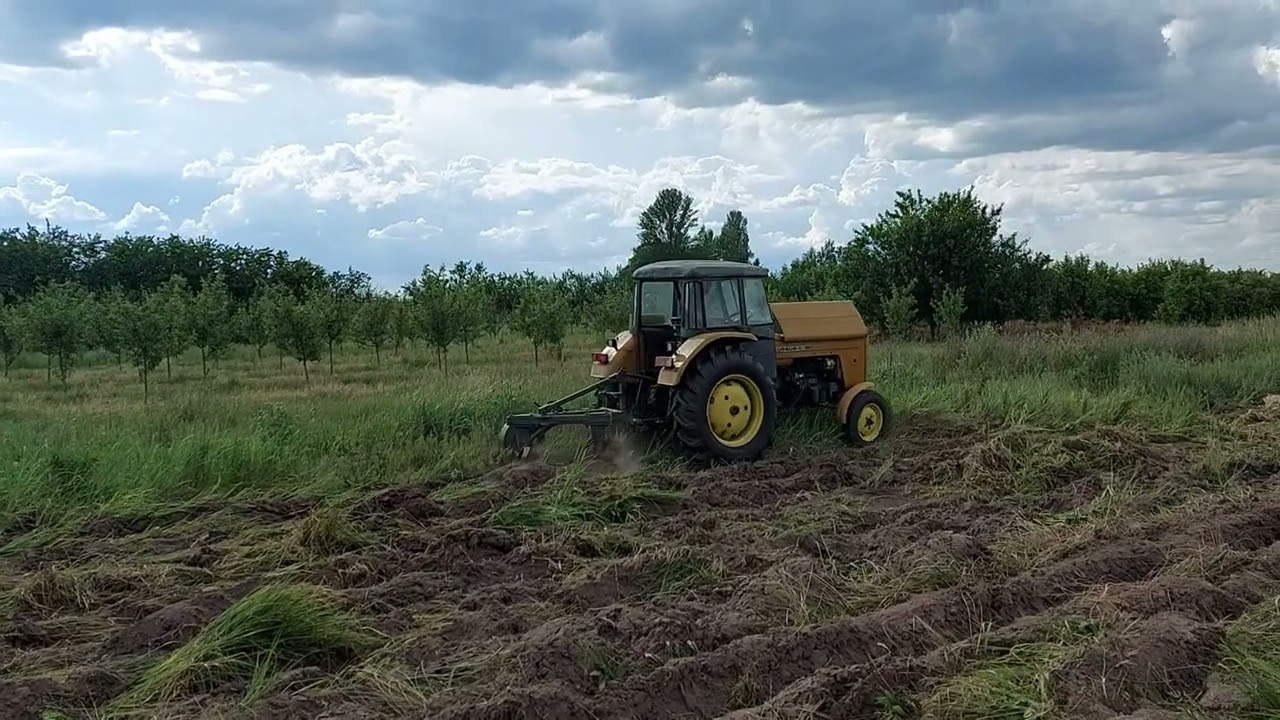 Orka ugoru Ursus C 3600