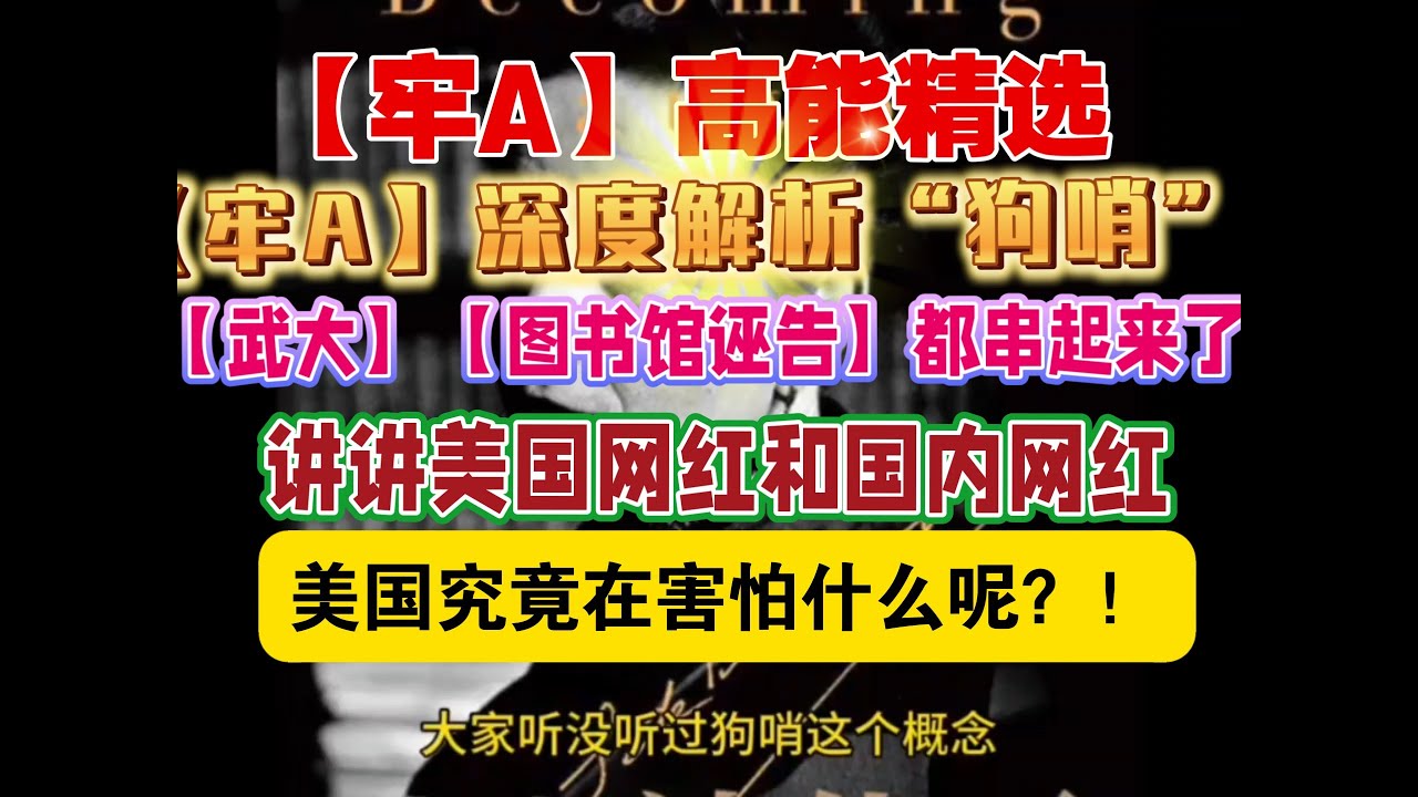 【牢A】高能精选：【牢A】深度解析“狗哨”！讲讲美国网红和国内网红！美国究竟在害怕什么呢？！