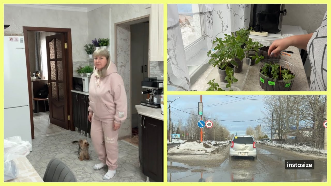 У нас ВЕСНА😍 ЧЕРЕНКУЮ ПЕТУНИИ.Легкий УЖИН🥗
