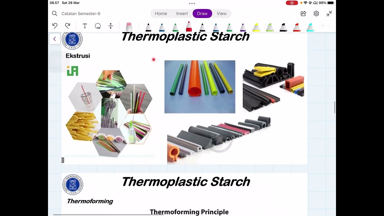 Starch Based Plastic (Thermoplastic Starch and Starch Blend Plastic)