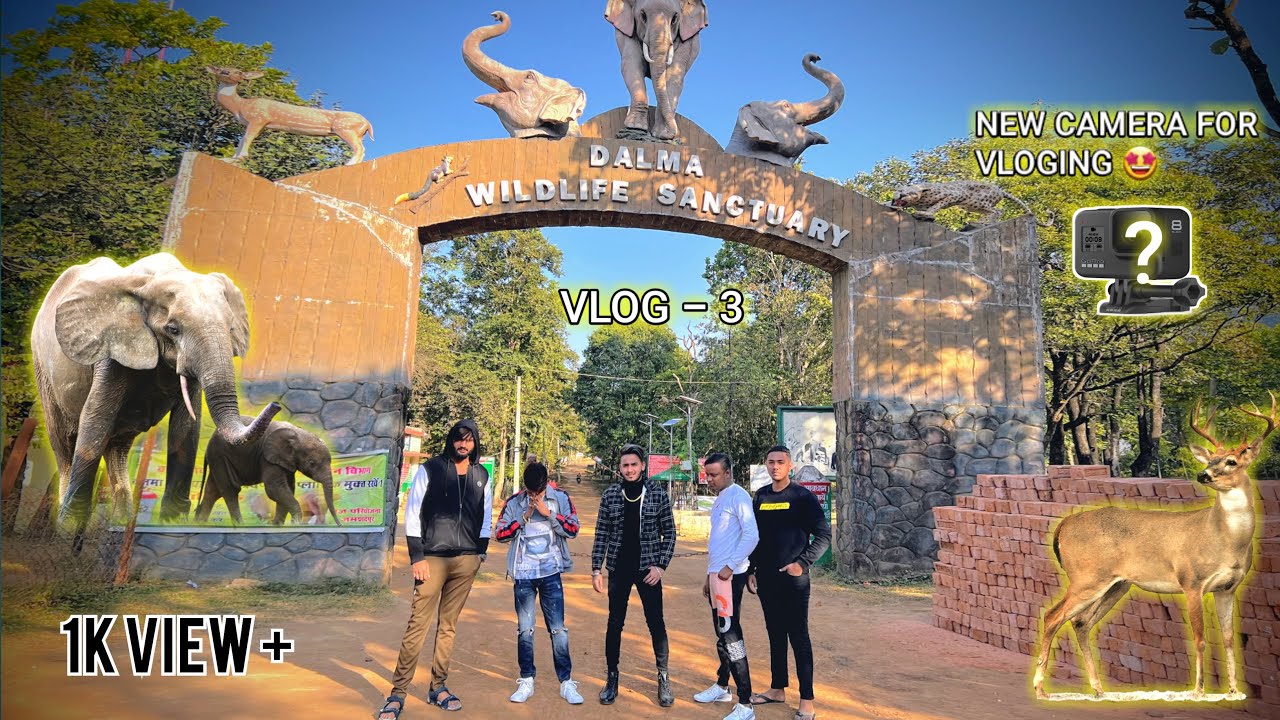 My Frist Vlog With Dji Osmo Pocket 2 | Wild Life Vlog | Dji