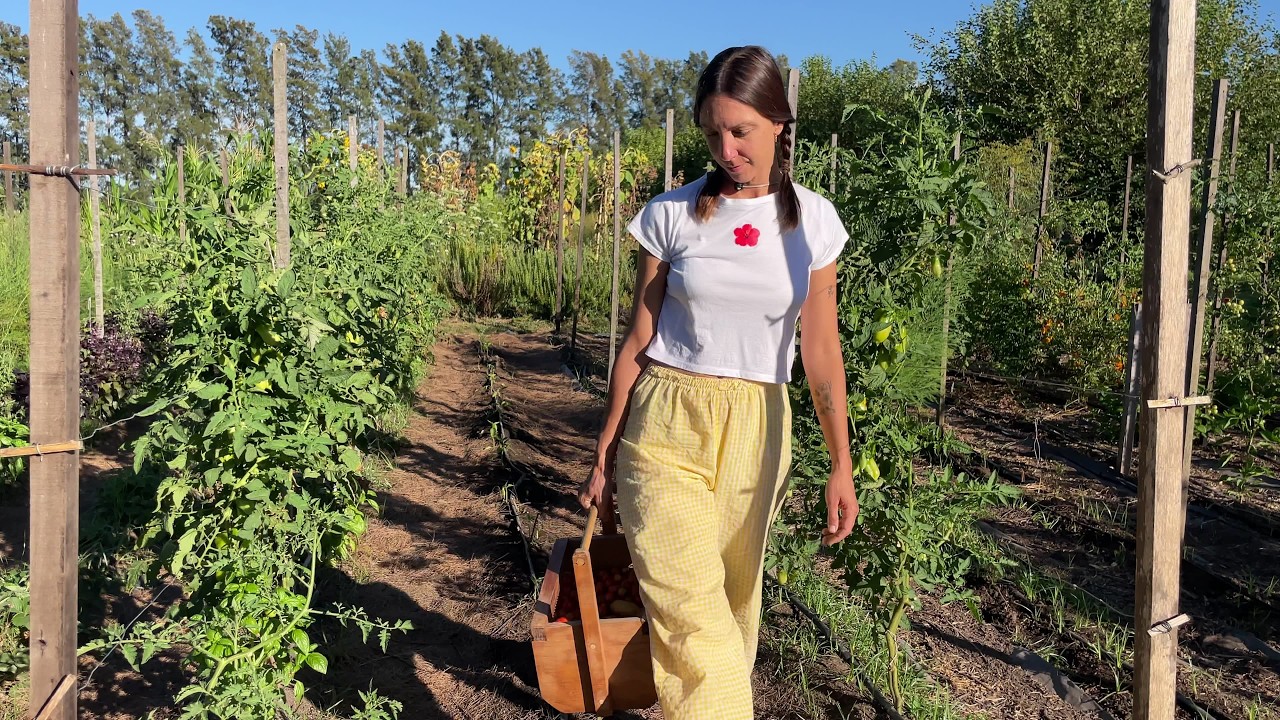 ¿SE PUEDE VIVIR  SOLO DEL CAMPO? nuestra experiencia y un secreto para conservar tomates todo el año