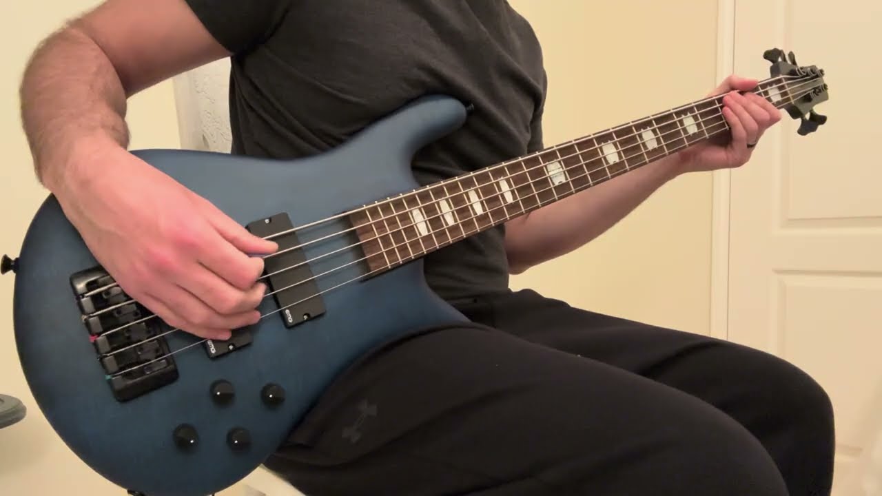 Alice In Chains - Would? (Bass Cover)