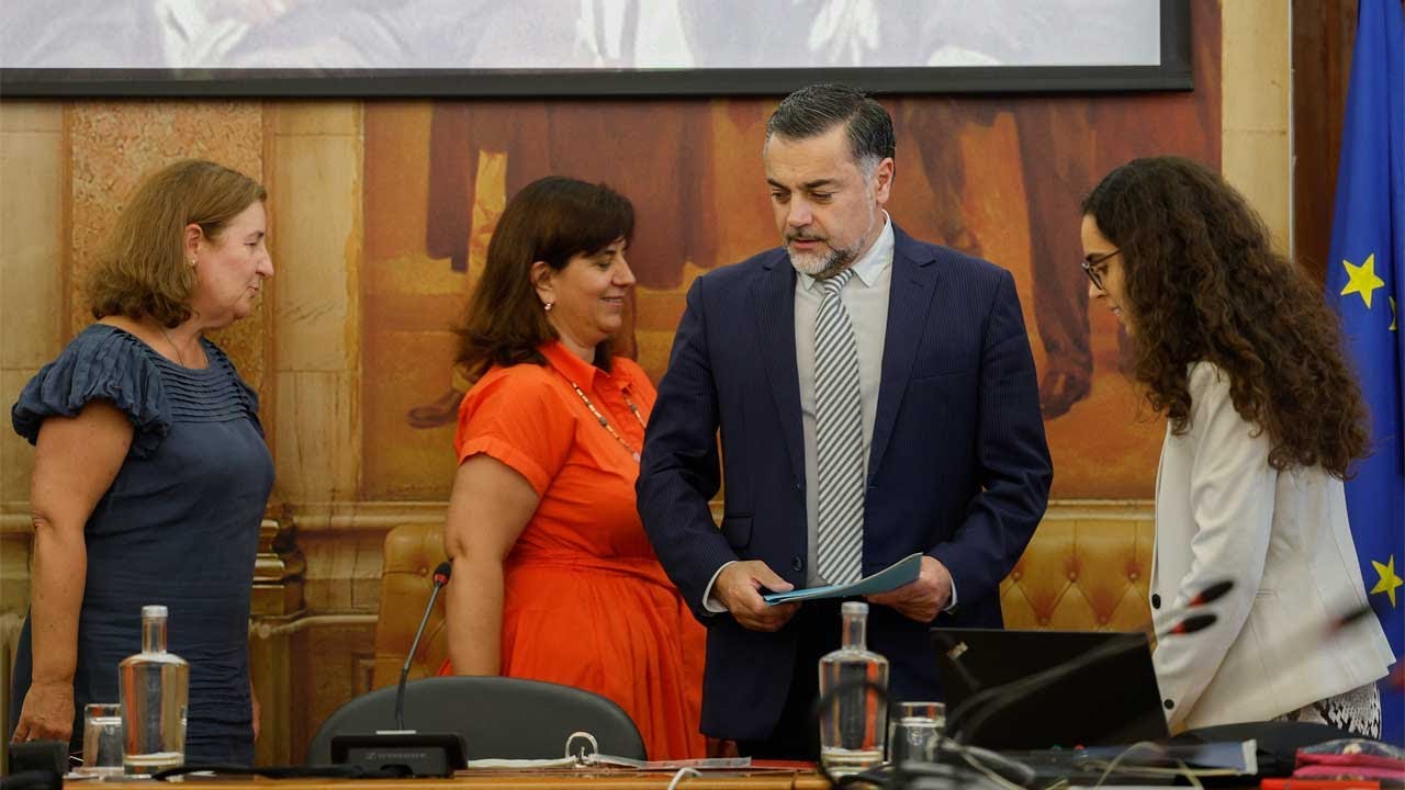 Caso das gémeas. Audição de Maria João Ruela