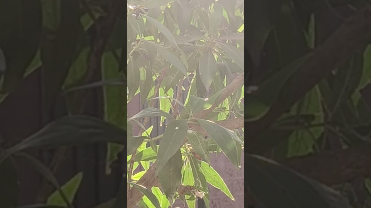 संसार करता करताच देव भेटला