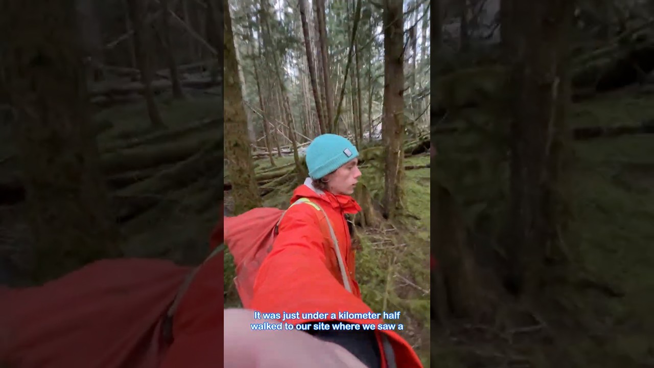 Один день из жизни инженера