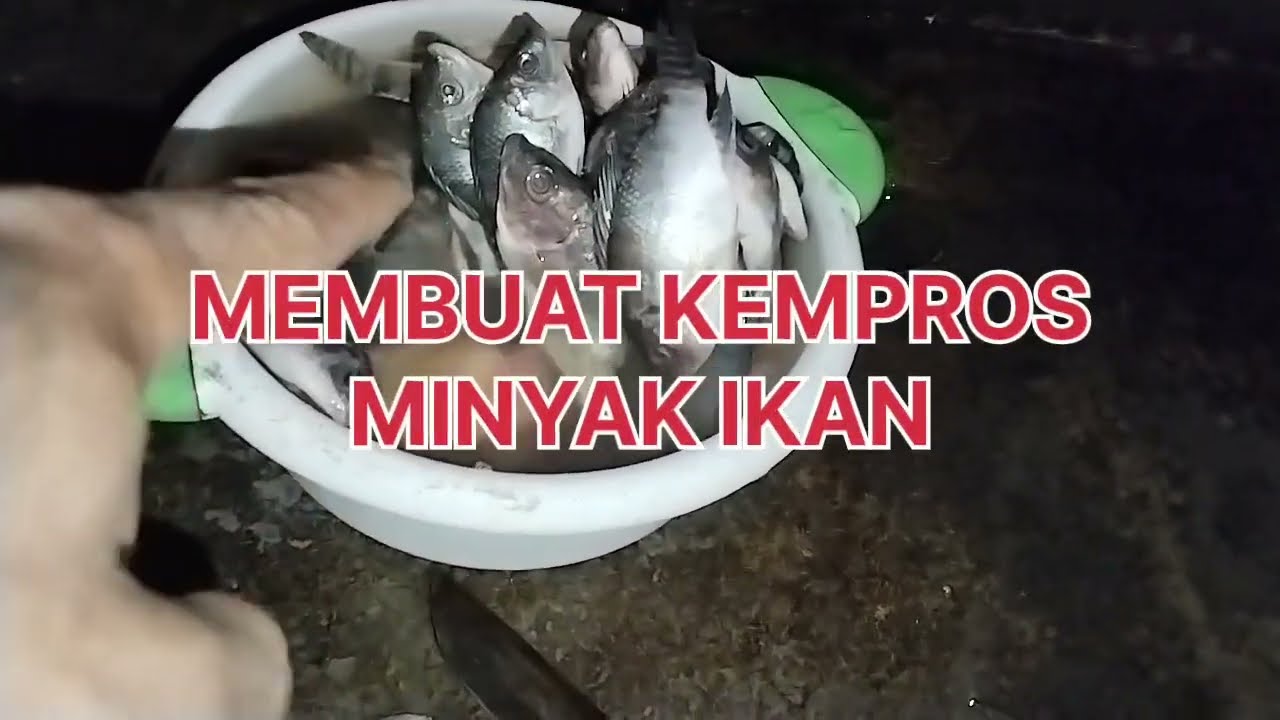 Tutorial Membuat Essen Minyak Kempros | Untuk Esen Kempros Rahasia Mancing Ikan Nila