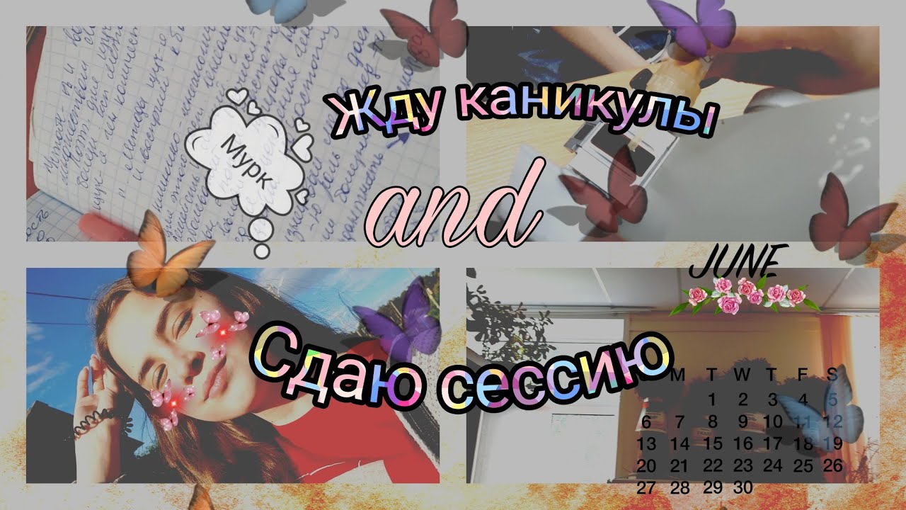 УЧЕБА НА ВЕТФАКЕ🐾🐾//Сдаю сессию и пытаюсь все успеть//PS:(не выходит )