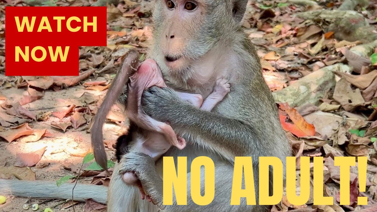 No Adult! The Beautiful Mom Anna Checks All Body Of Baby Amina To Make Sure Clean Or Not! 
