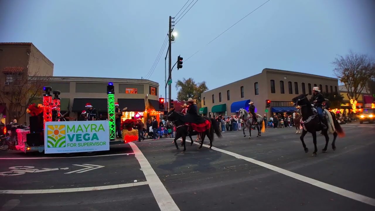 2025 WOODLAND CHRISTMAS PARADE
