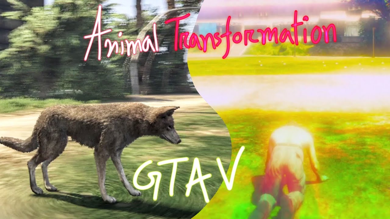 Coywolf Transformation | Animal Transformation | Peyote Plants Location | GTA V