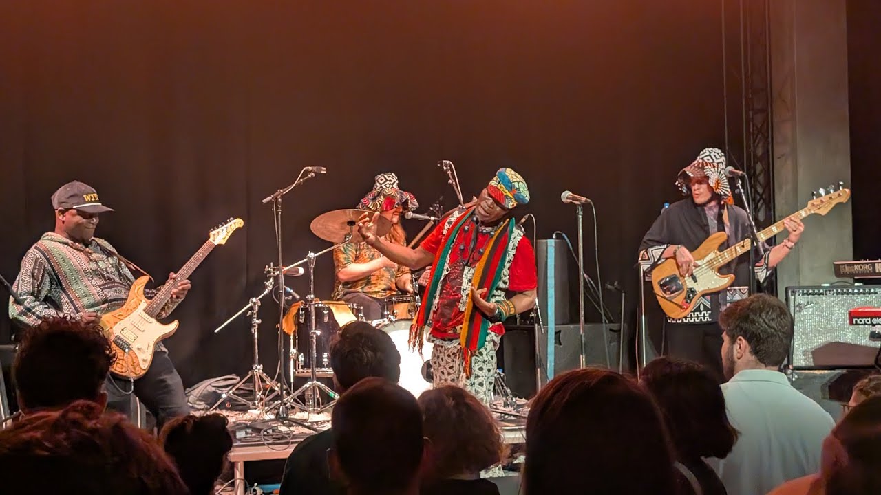 High Dependency Unit (HDU) with W.I.T.C.H. - 26th November 2025 - Meow Nui, Wellington, NZ