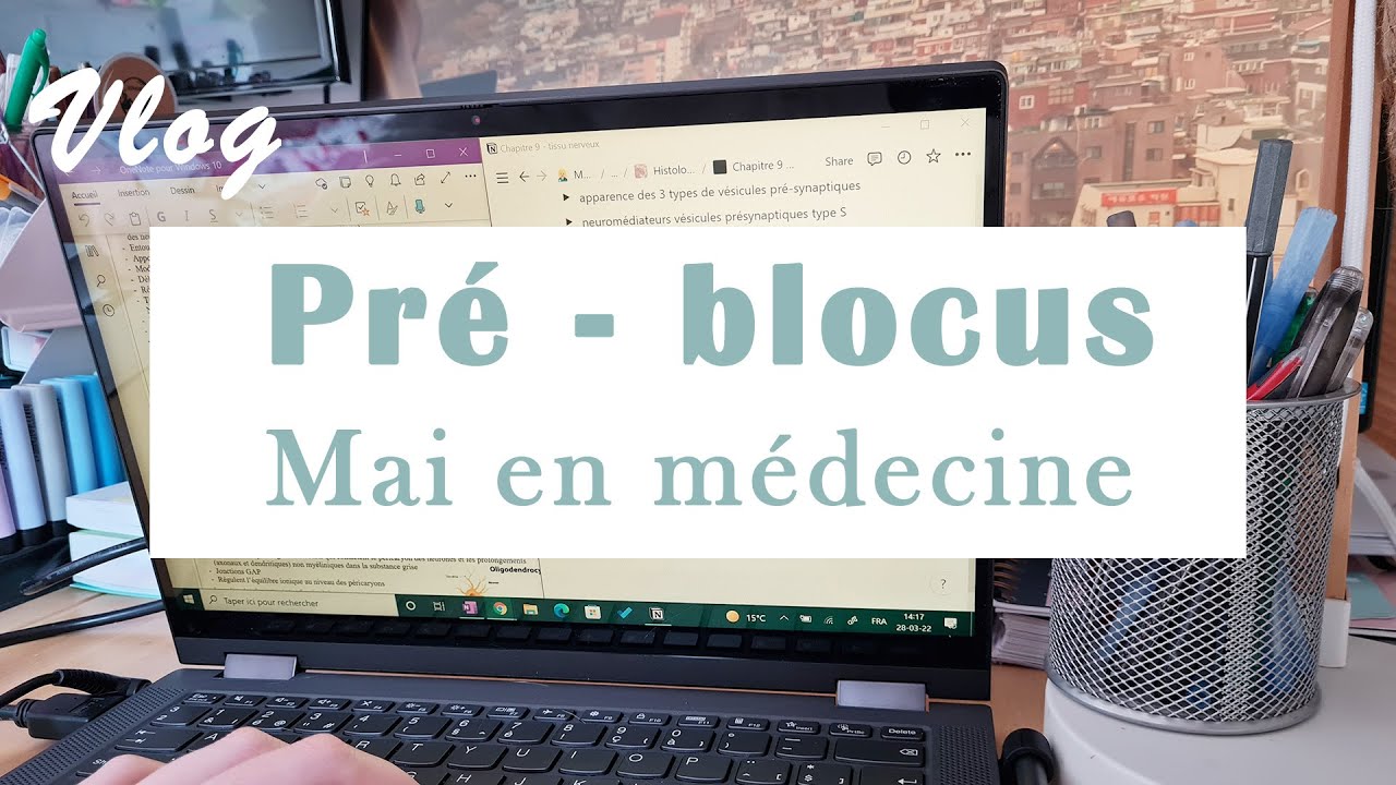 VLOG - PRE BLOCUS de mai - étudiante en médecine, Belgique