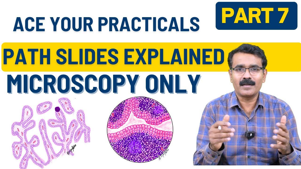 Microscopy Made Easy – Part 7: Quick Revision of Common Pathology Slides | Dr. Vijay Shankar