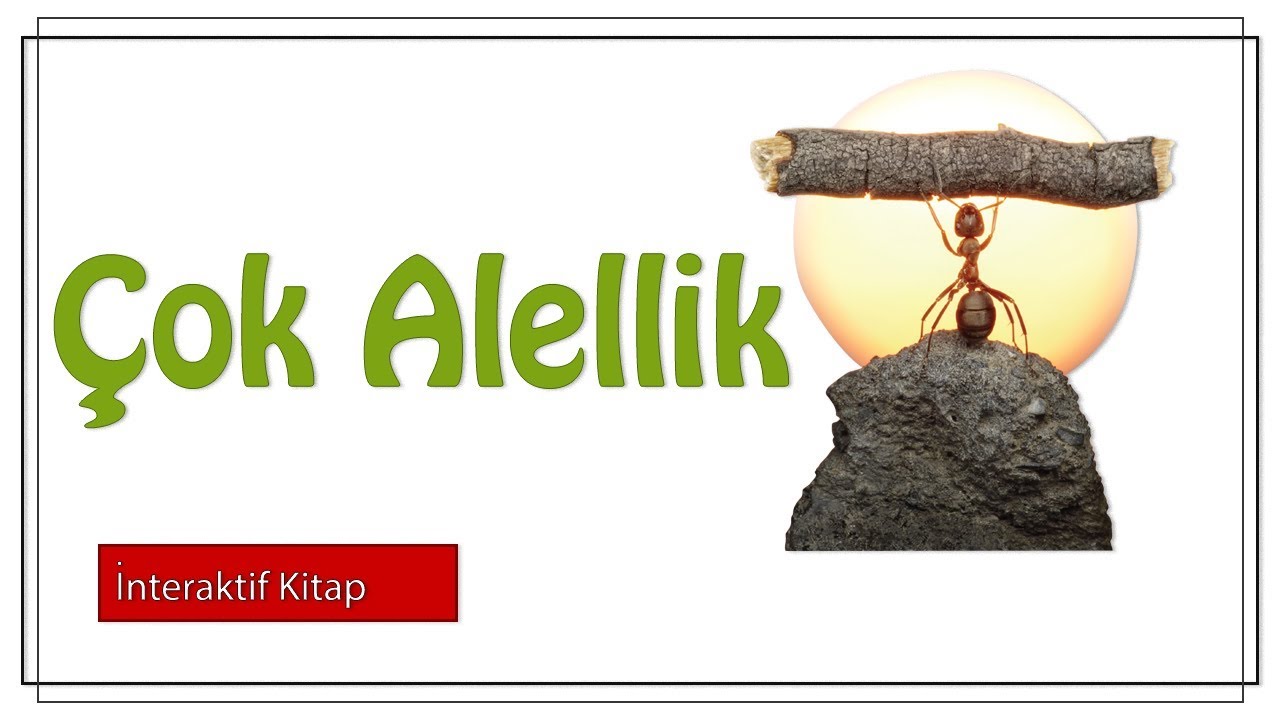 Çok Alellik #sayfa154