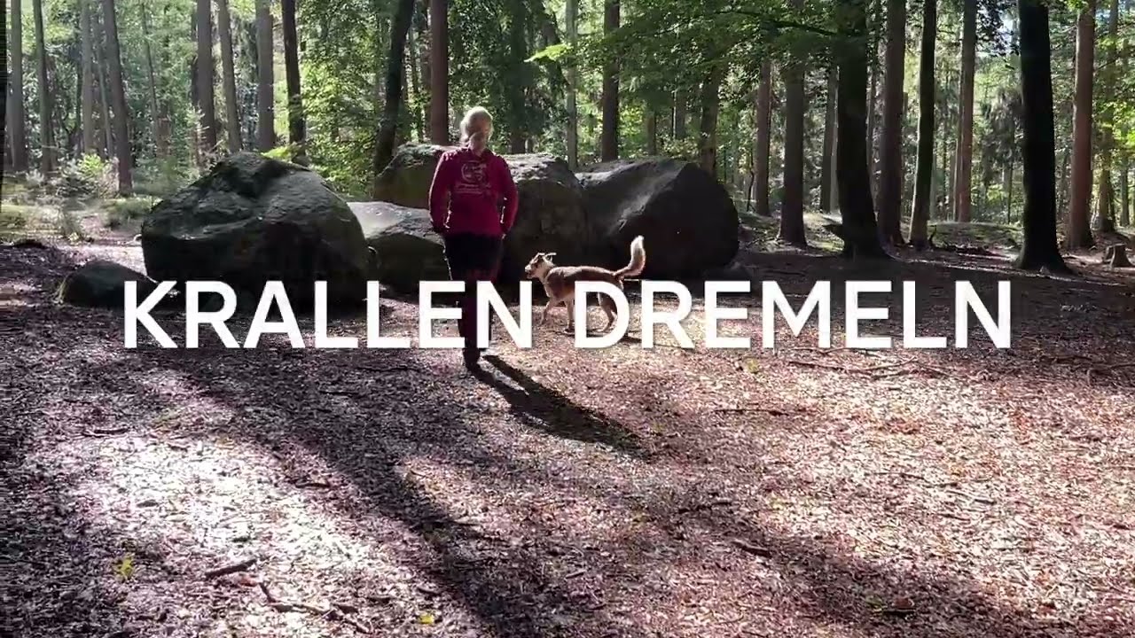 Hund: Krallen schleifen statt schneiden - Teil 2