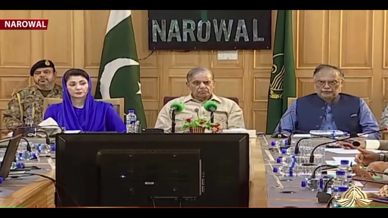 Chairman NDMA Briefs Prime Minister of Pakistan and Chief Minister Punjab on Flood Situation