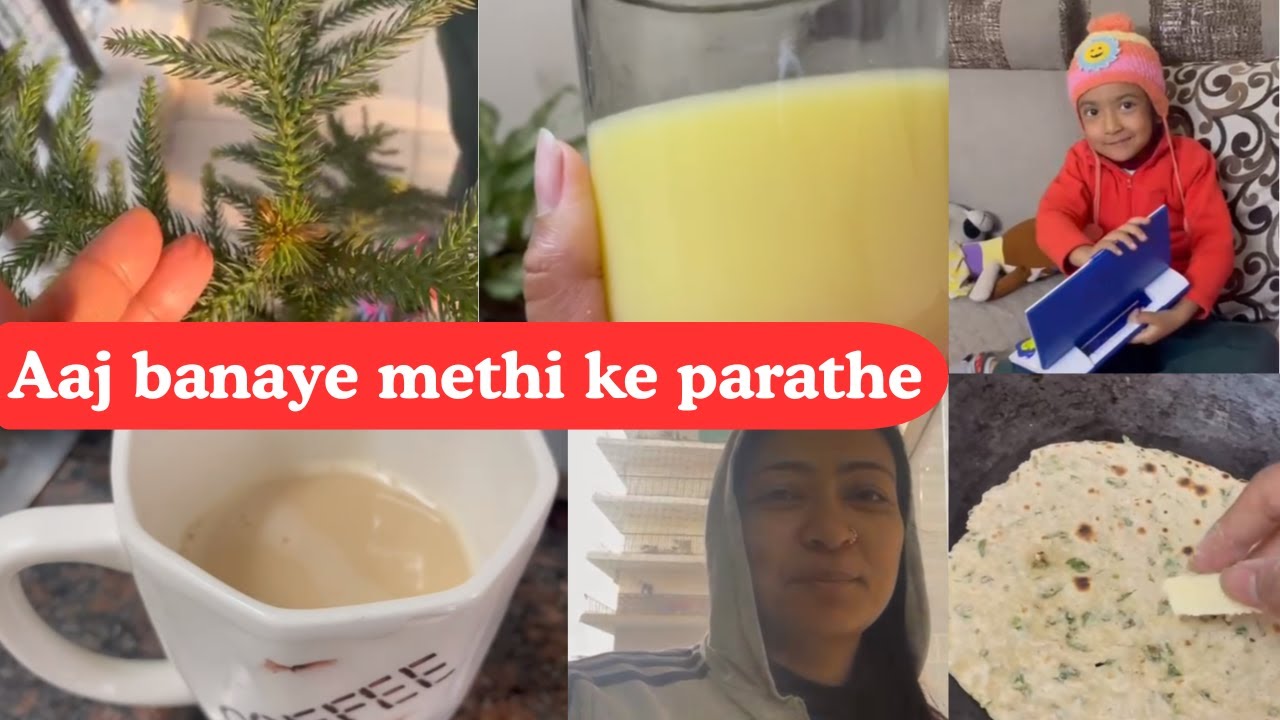 Methi ke parathe ka kiya breakfast or is taraf beeta aaj ka din