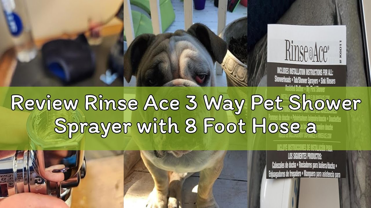 Review Rinse Ace 3 Way Pet Shower Sprayer with 8 Foot Hose and Quick Connect to Showerhead