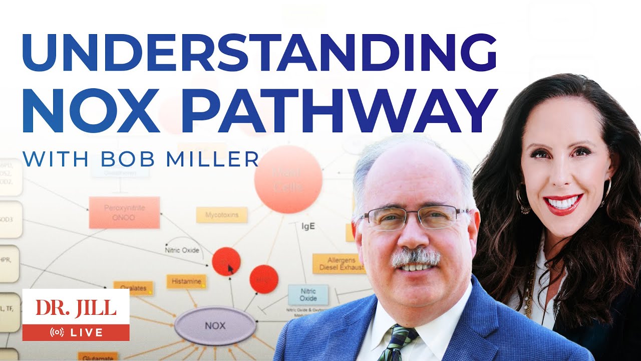 26: Dr  Jill Interviews Bob Miller on Overstimulation of NOX and Functional Genomics