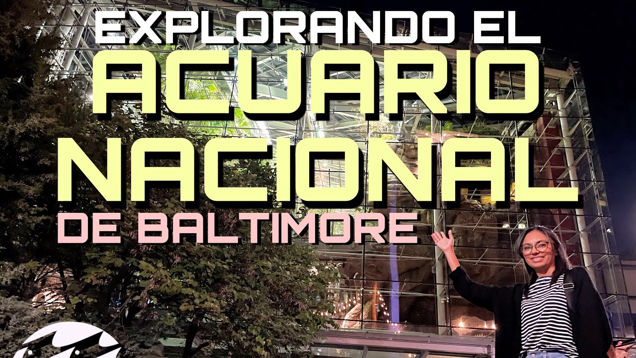Explorando el Acuario National de Baltimore, MD ¡¡toque una medusa!! PARTE 1 #baltimore #aquarium