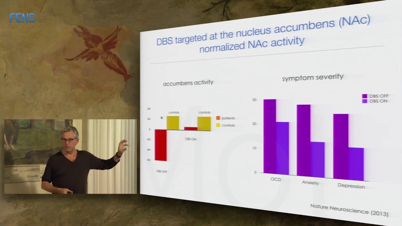 Damiaan Denys on Deep brain stimulation and addiction PART II