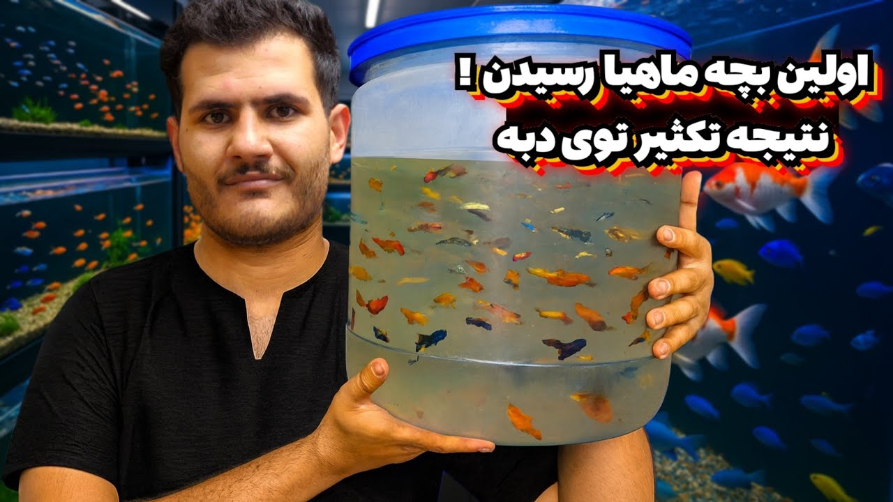 سالن پرورشم راه افتاد