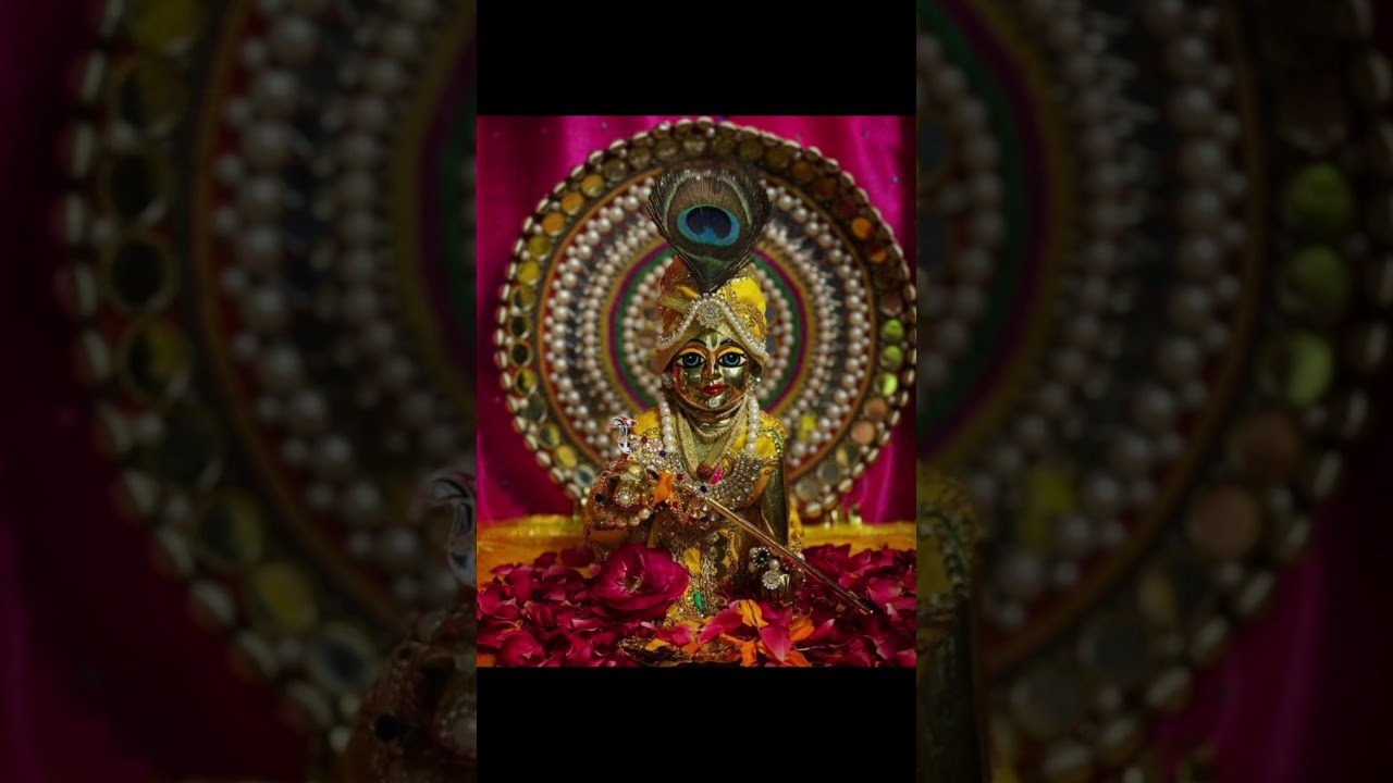 Hare krishna radhe radhe #motivation #foryou #shortvideos #trendingshorts #devoteelife