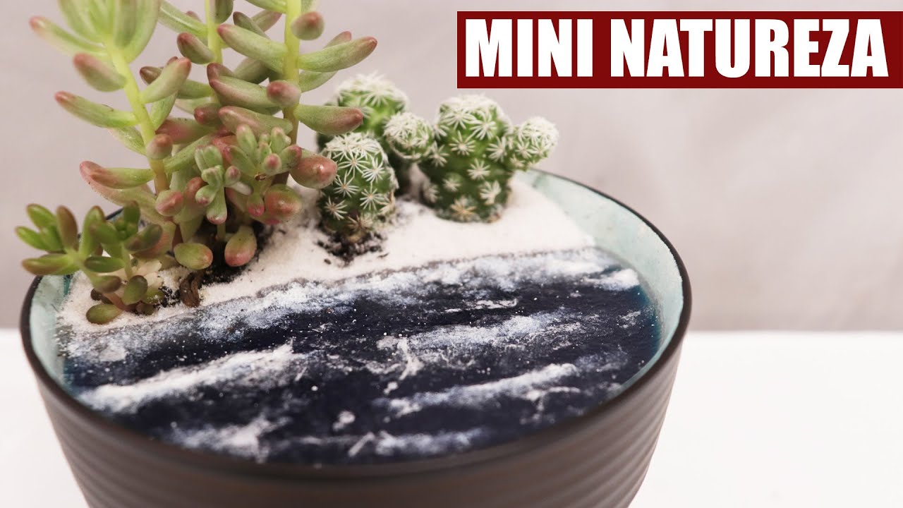 Mini natureza incrível para levar um pouco de natureza para a sua vida!